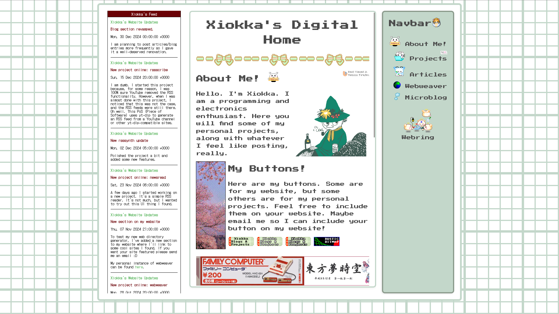A snapshot of my website taken on December 31, 2024.