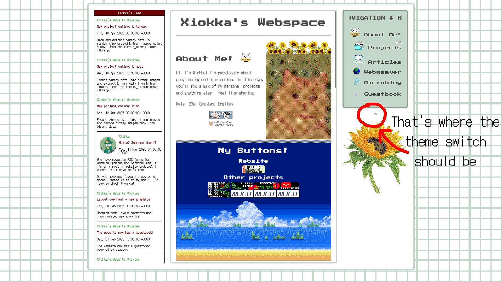 A snapshot of my website taken on July 4, 2025